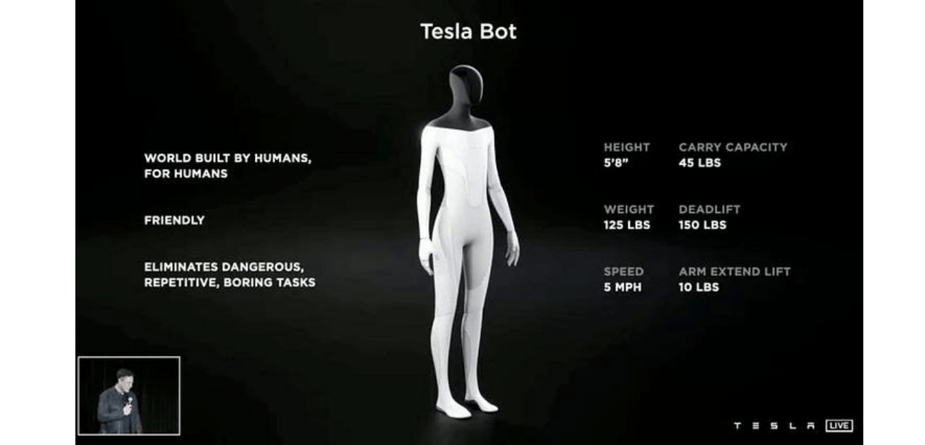 Tesla AI Bot