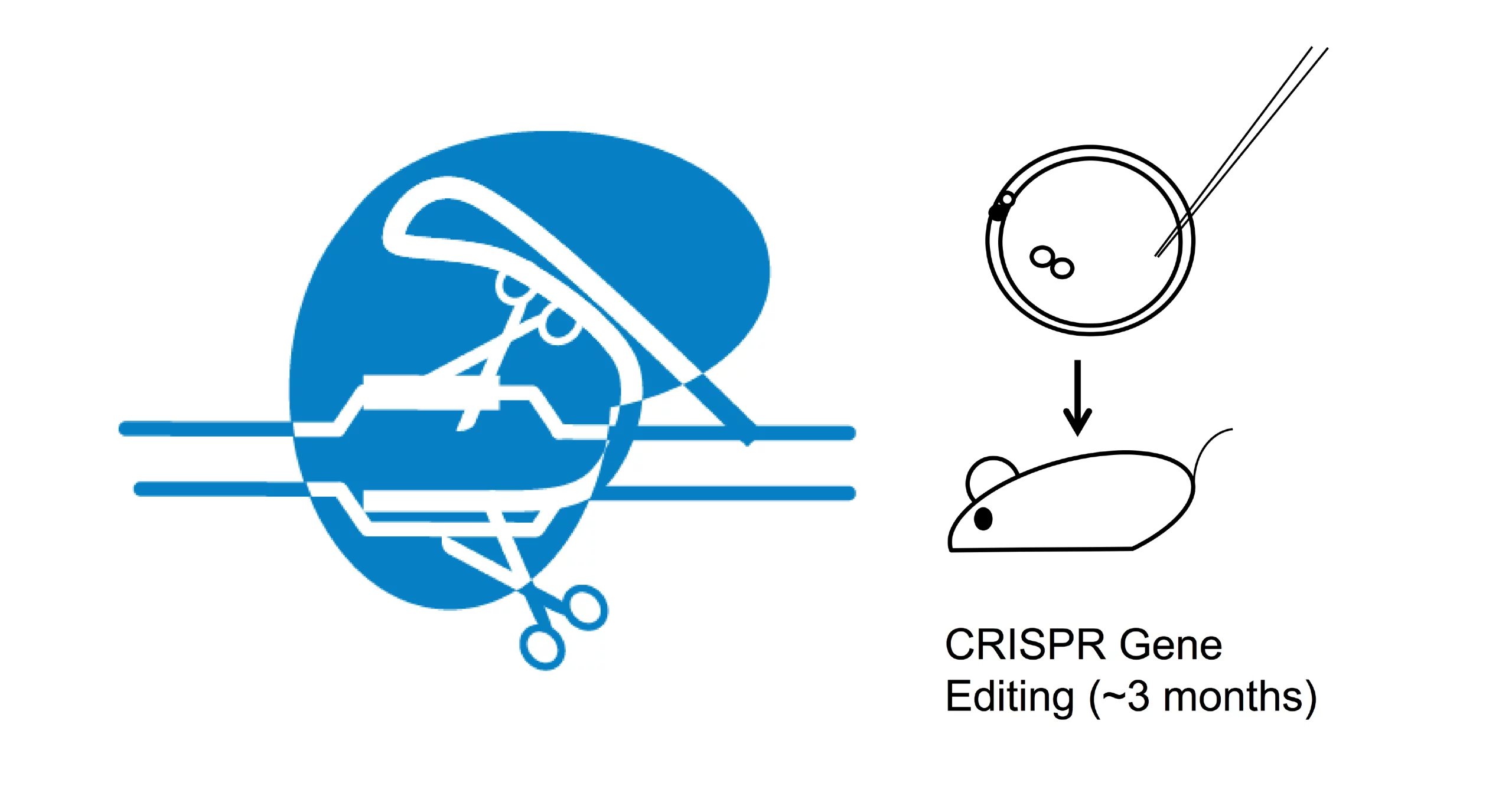 CRISPR የቤት እንስሳት እርባታ