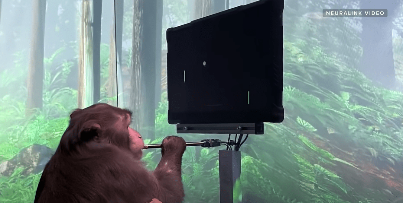 Elon Musk's Neuralink demonstrates a monkey playing a video game using a wireless brain implant