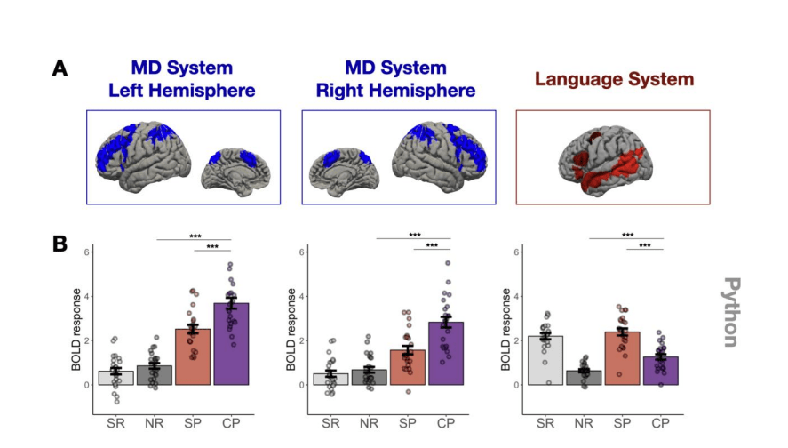 Neuroeducació 05