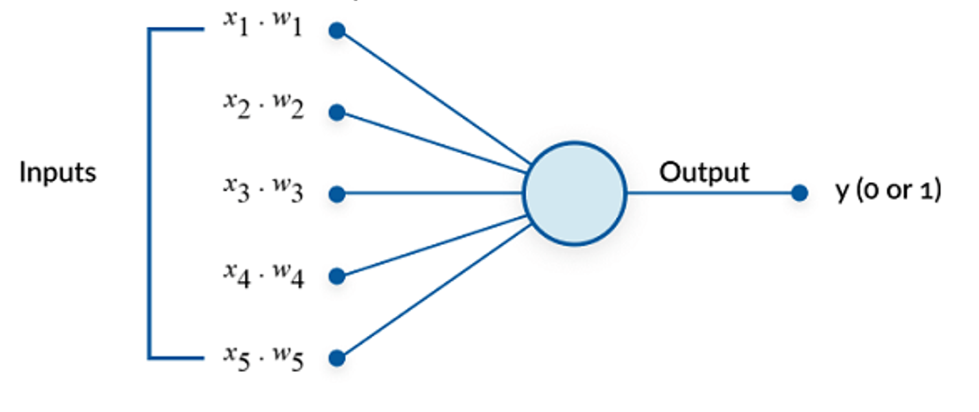 Percepttron