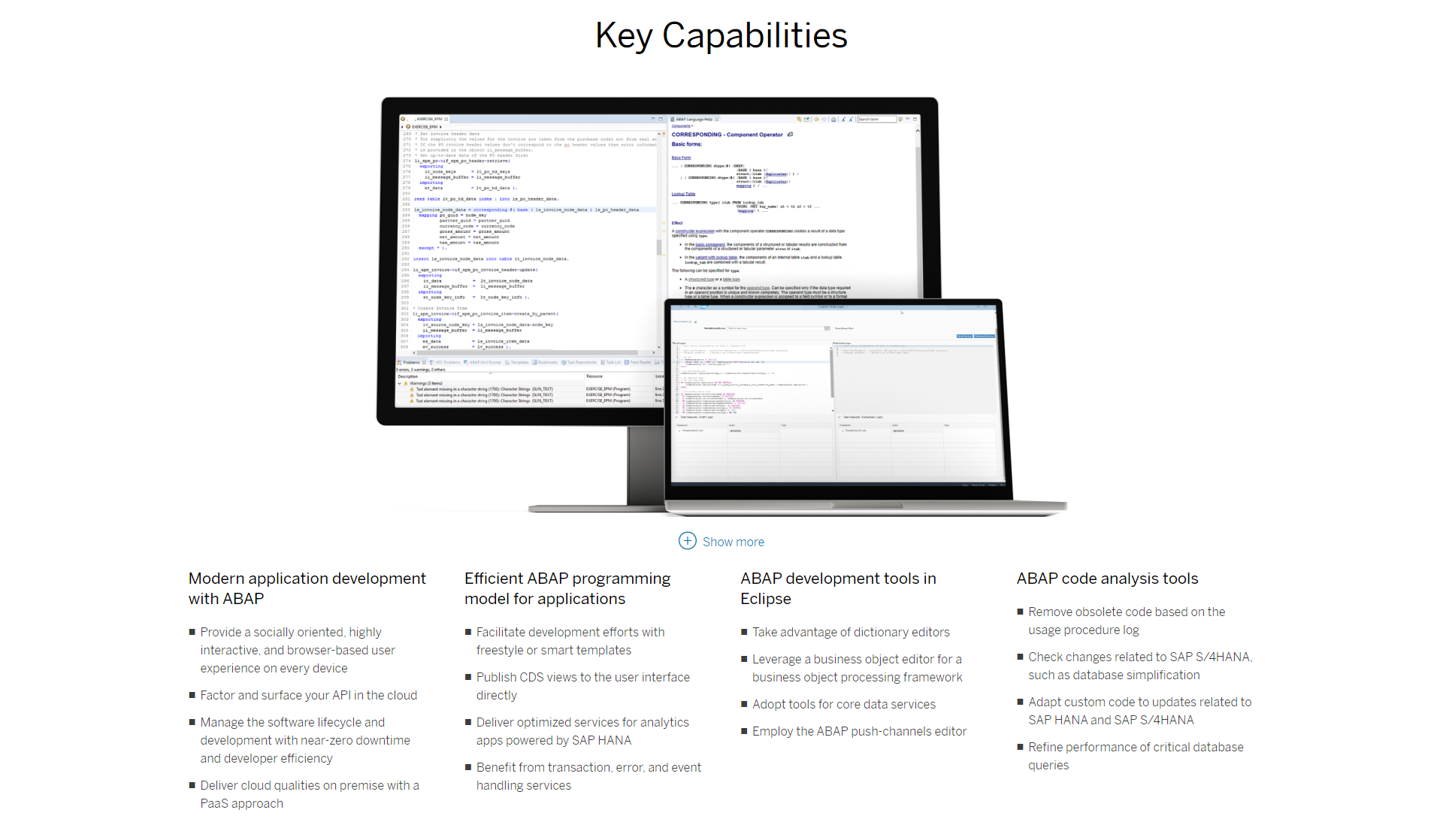 Capacidades de SAP Netweaver