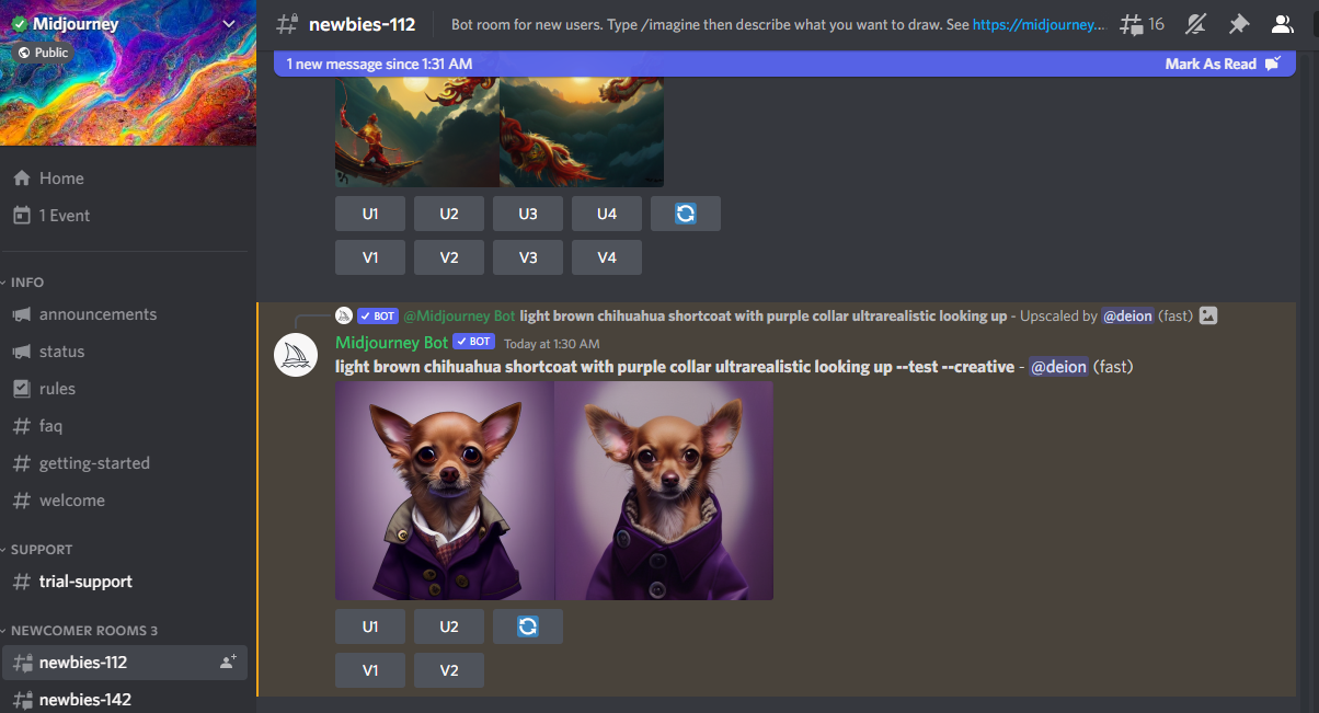 discord server where you can interact with Midjourney