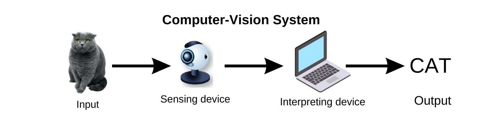 Computer vision systems